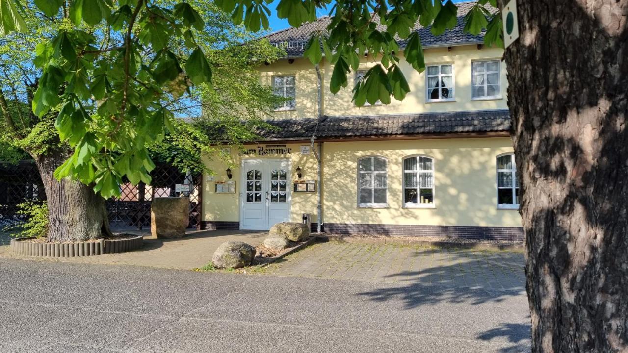 Wirtshaus & Pension "Zum Hammer" Neustadt  Exteriör bild